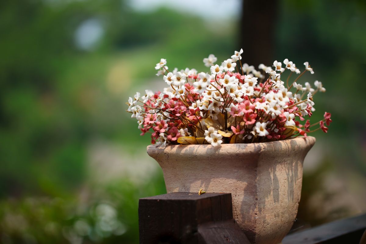 5 DIY-Blumentopf-Ideen aus einfachen Materialien — Fertiges Werk
