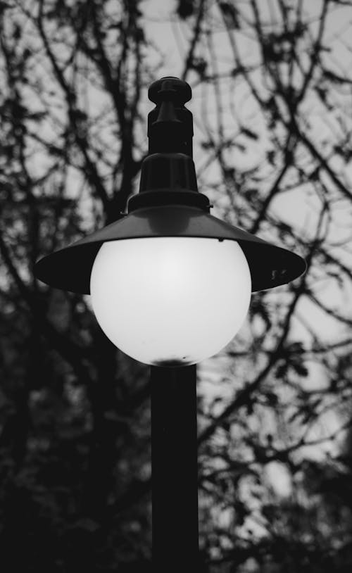 Grayscale Photo of a Street Light
