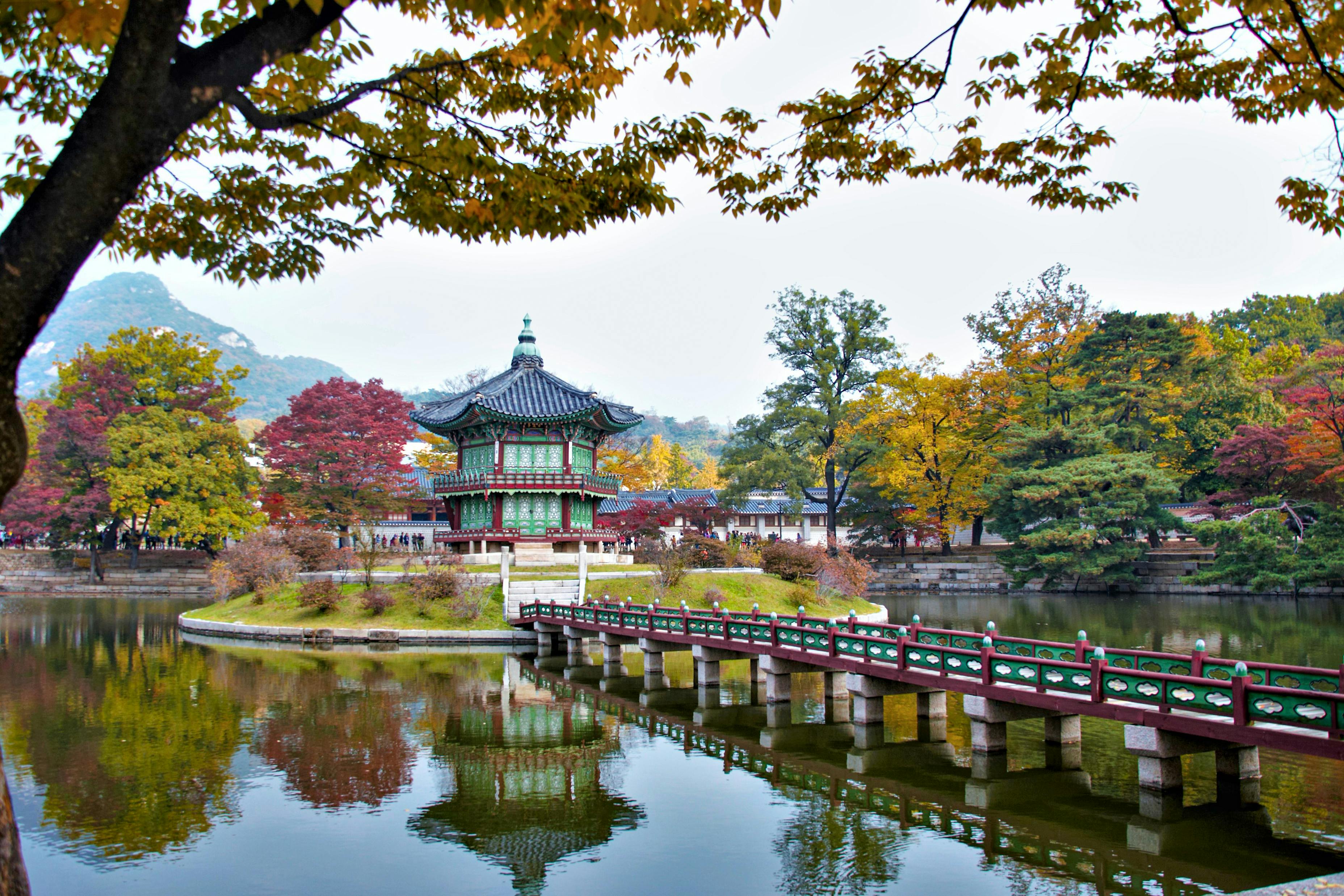 Korea Tourism Organization to Support 27 Firms with Data Analytics and AI Marketing — Photo by 대정 김 on Pexels