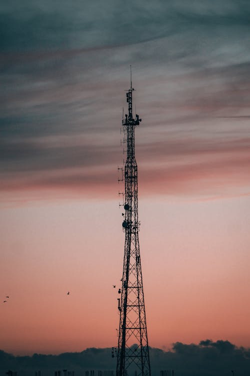 Foto profissional grátis de alvorecer, cair da noite, Hora dourada