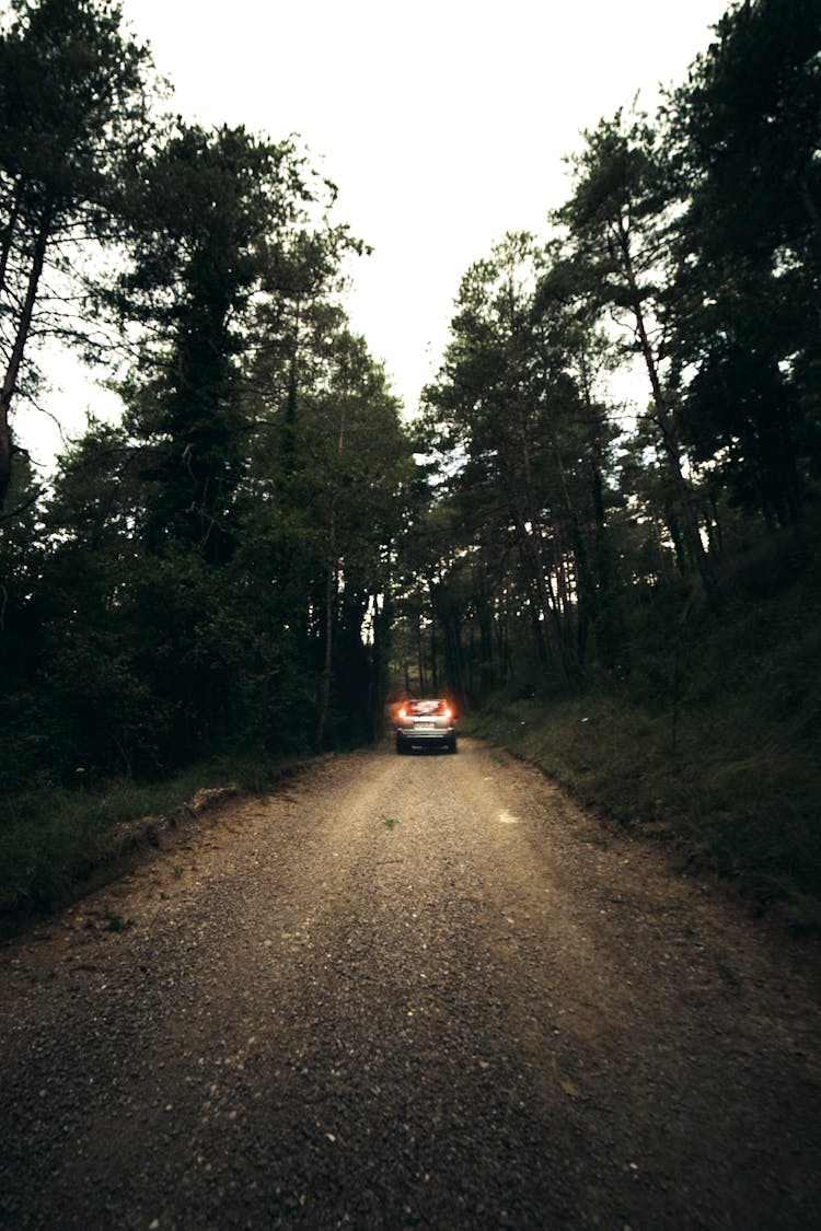 A Silver Car On Gravel Road Between Trees