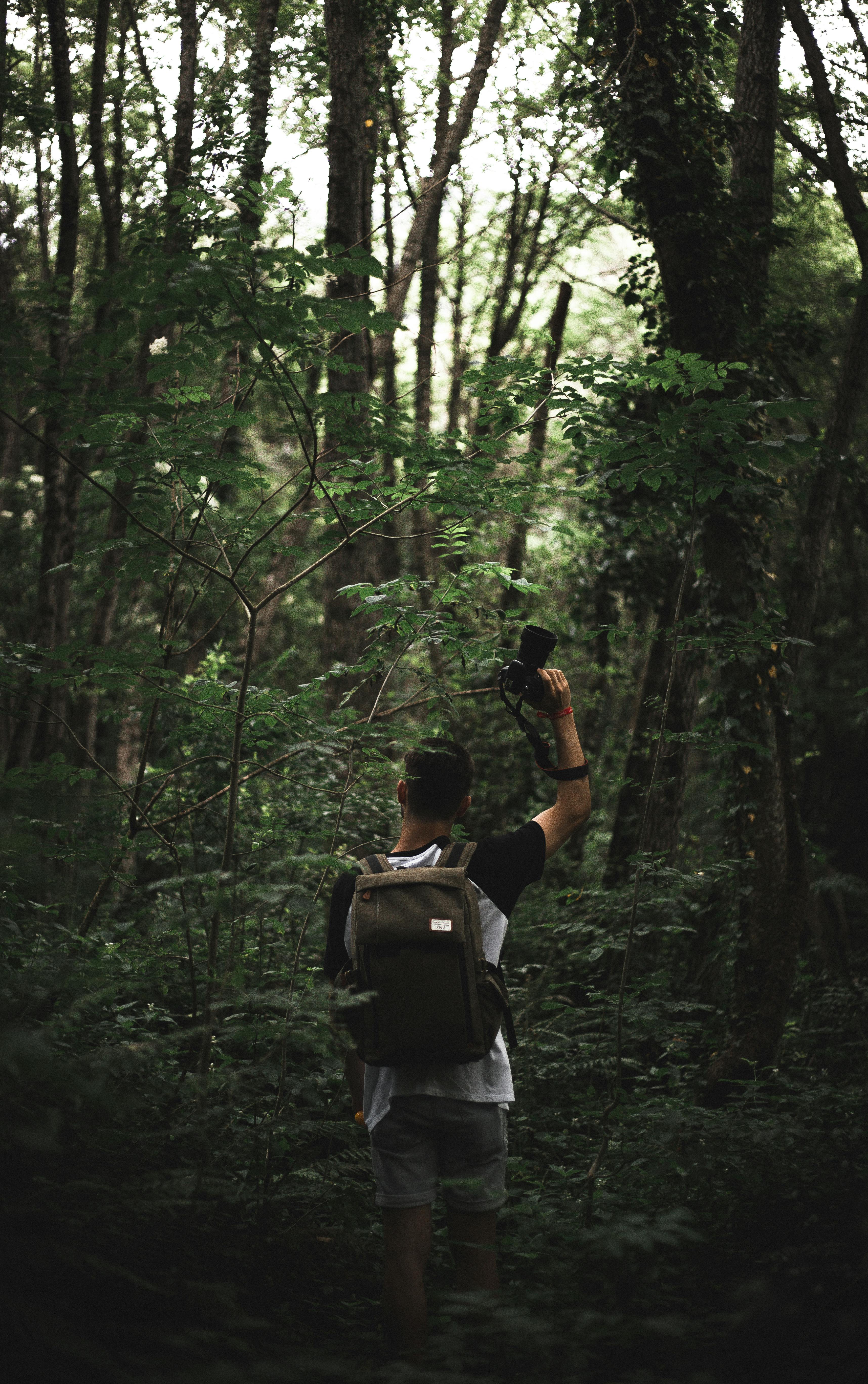 wood landscape man people