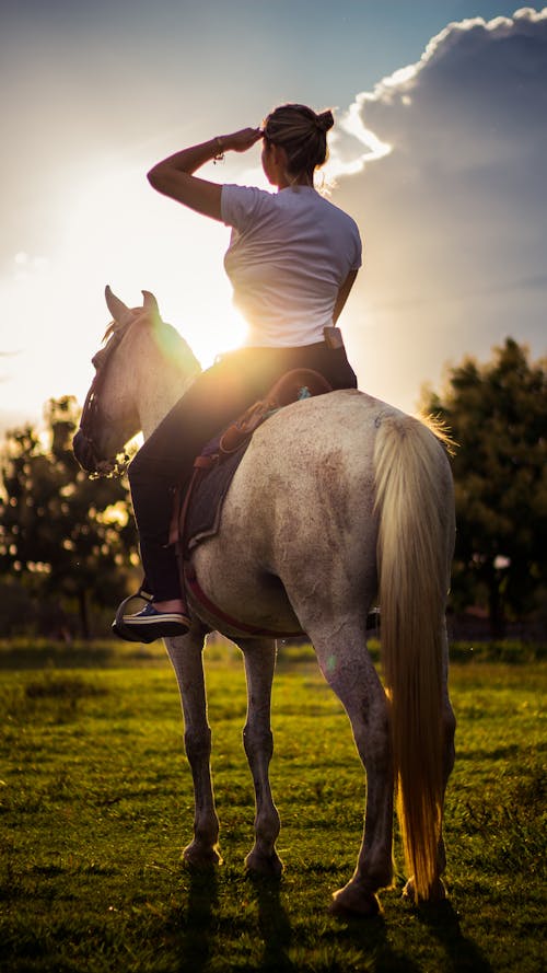Woman in White Long Sleeve Shirt Riding Black Horse