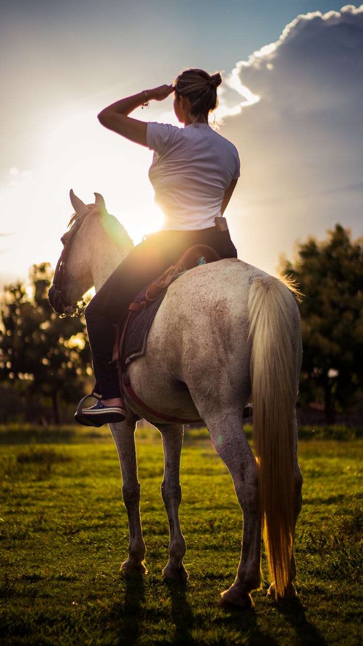 Woman In White Long Sleeve Shirt Riding Black Horse