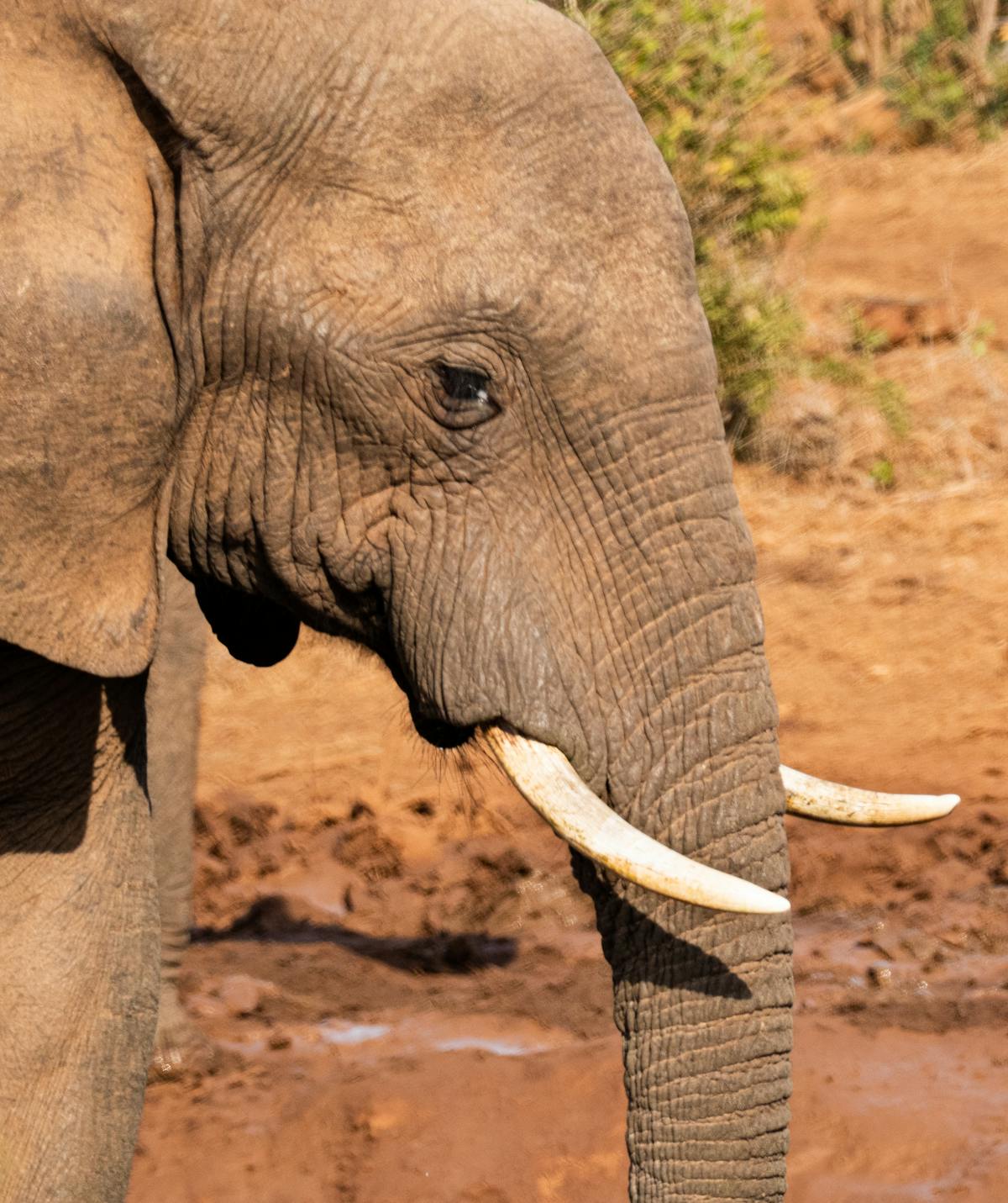 Dimly lit hallway with nightlight illumination