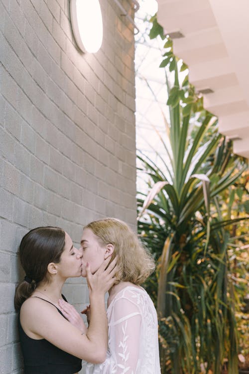 Darmowe zdjęcie z galerii z całowanie, intymny, kobiety