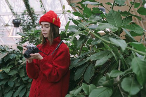 Free Woman in red sweater and beanie taking pictures amidst lush plants in a greenhouse. Stock Photo