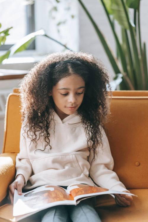 Free Attentive African American kid with long curly hair in casual clothes relaxing on couch and studying pictures in book on sunny day at home Stock Photo