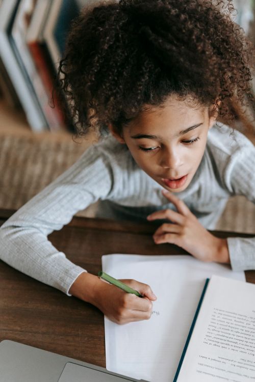 Free From above of attentive little black girl with Afro hair in casual clothes sitting at table with laptop and nooks while doing homework assignment Stock Photo