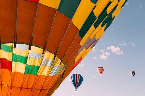 grátis Foto profissional grátis de aventura, balões de ar quente, céu azul Foto profissional