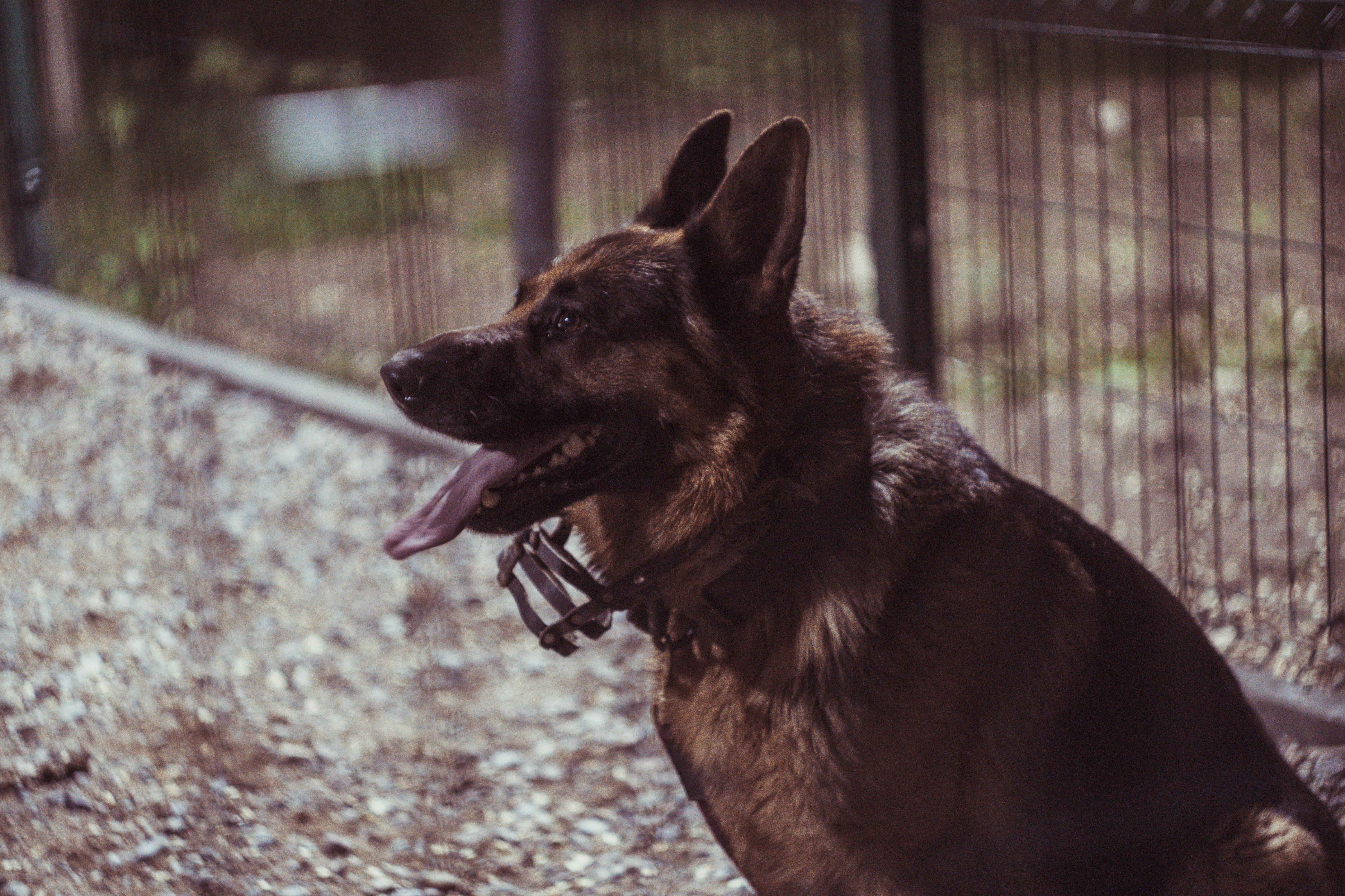 Nonbinary athlete lacing up skates in a locker room