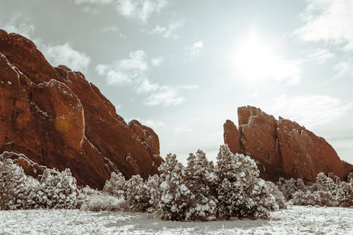 Kostenloses Stock Foto zu colorado, felsen, gras