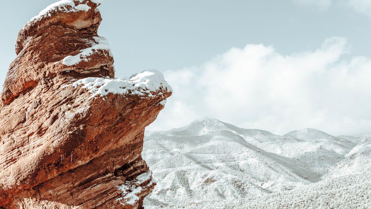 Best Birthday Freebies in Colorado Springs, CO: 2026 Local Guide