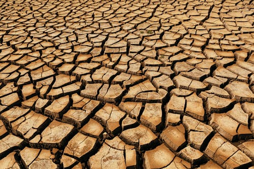 Arid Wasteland in the Desert