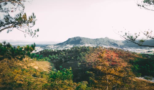 丘陵, 天性, 山 的 免费素材图片