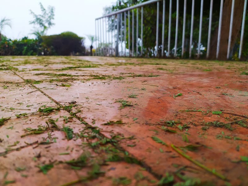 Bolletta gas a rischio aumento dal 2026: appello per rinnovare le offerte PLACET - HDblog.it