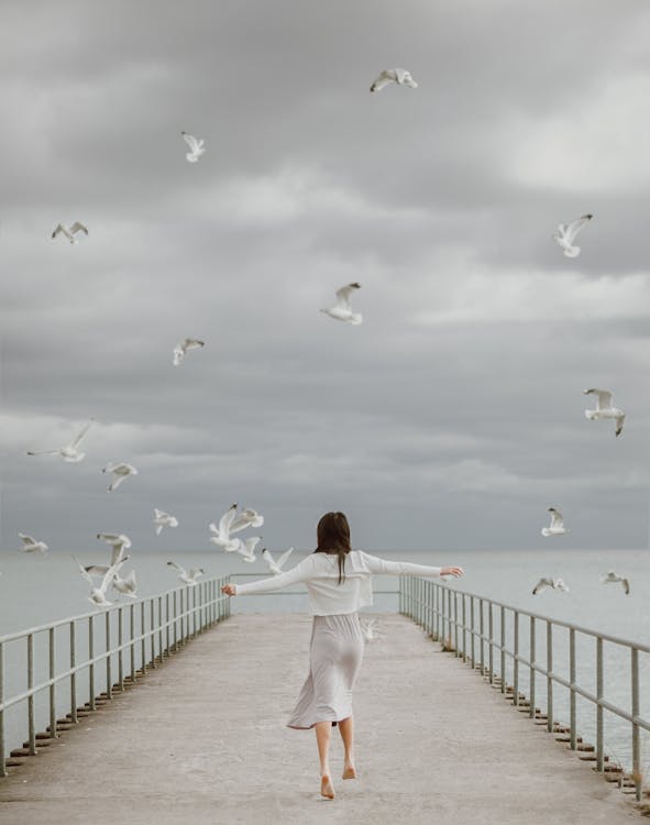 Seagulls Flying over a Woman Walking on a Dock