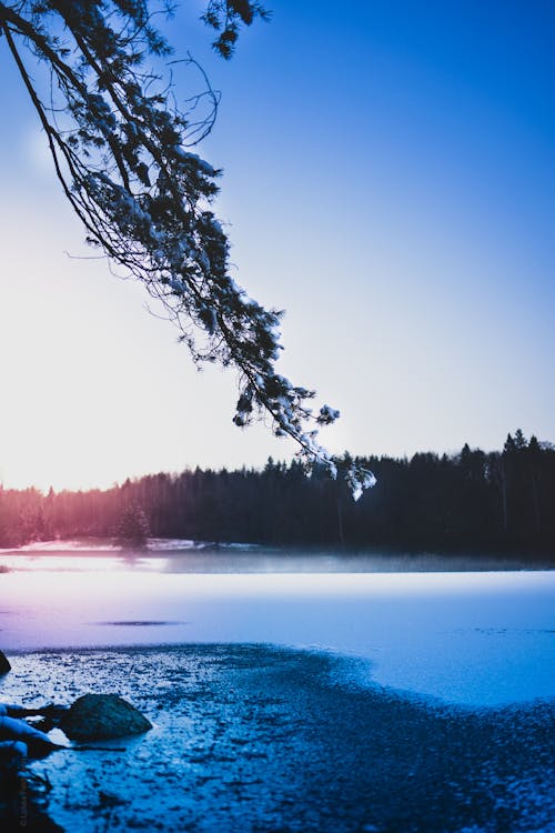 Foto profissional grátis de beira do lago, com frio, congelado