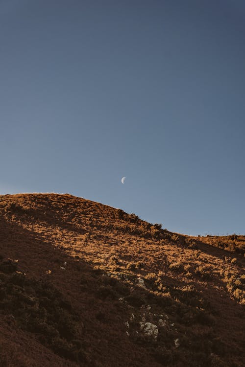 Základová fotografie zdarma na téma dálkový, denní světlo, modrá