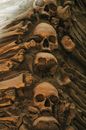 Skulls and Bones