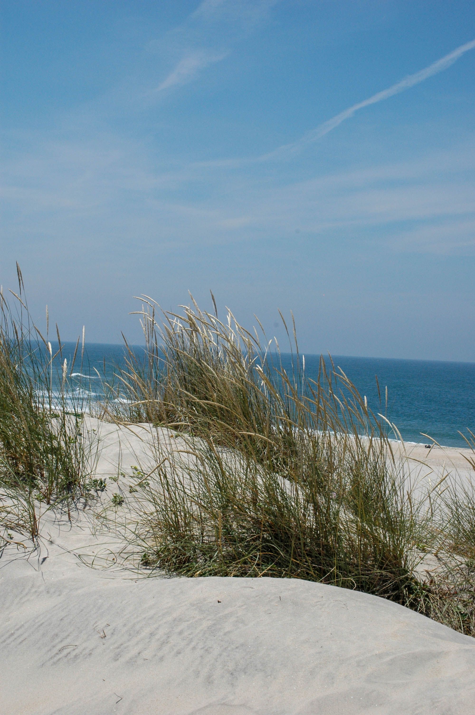 White Sand Beach Under Blue Sky · Free Stock Photo
