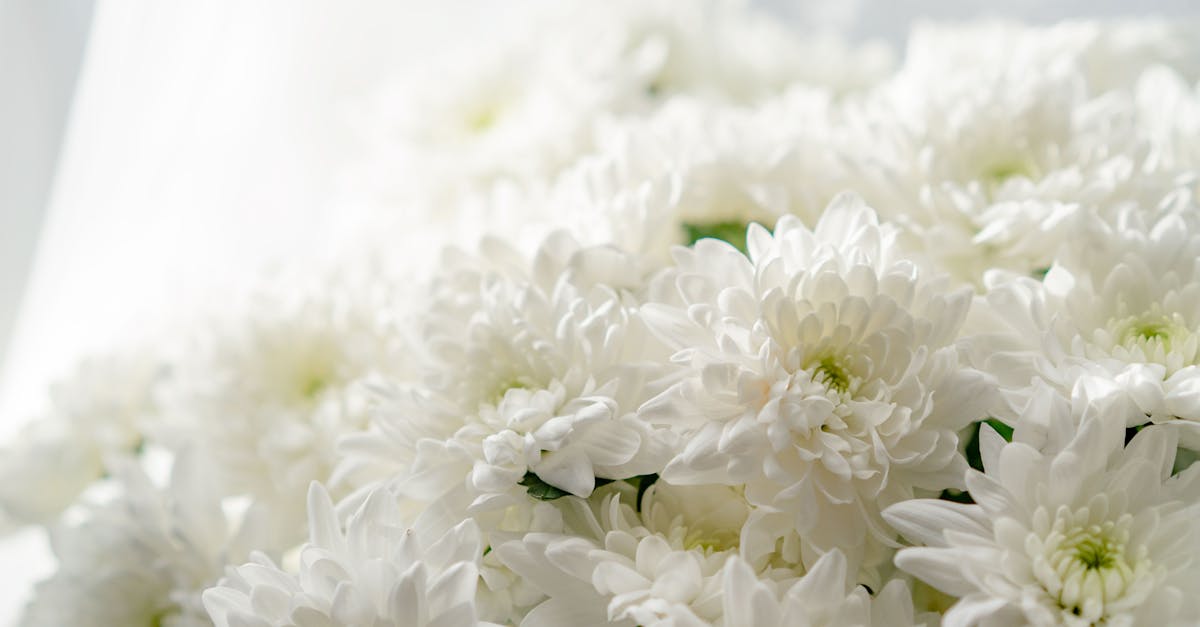 Comment Bien Choisir Votre Bouquet de Mariée