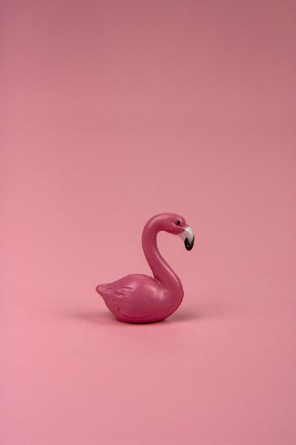 A pink flamingo figurine set against a monochromatic pink background, showcasing minimalist home decor style.
