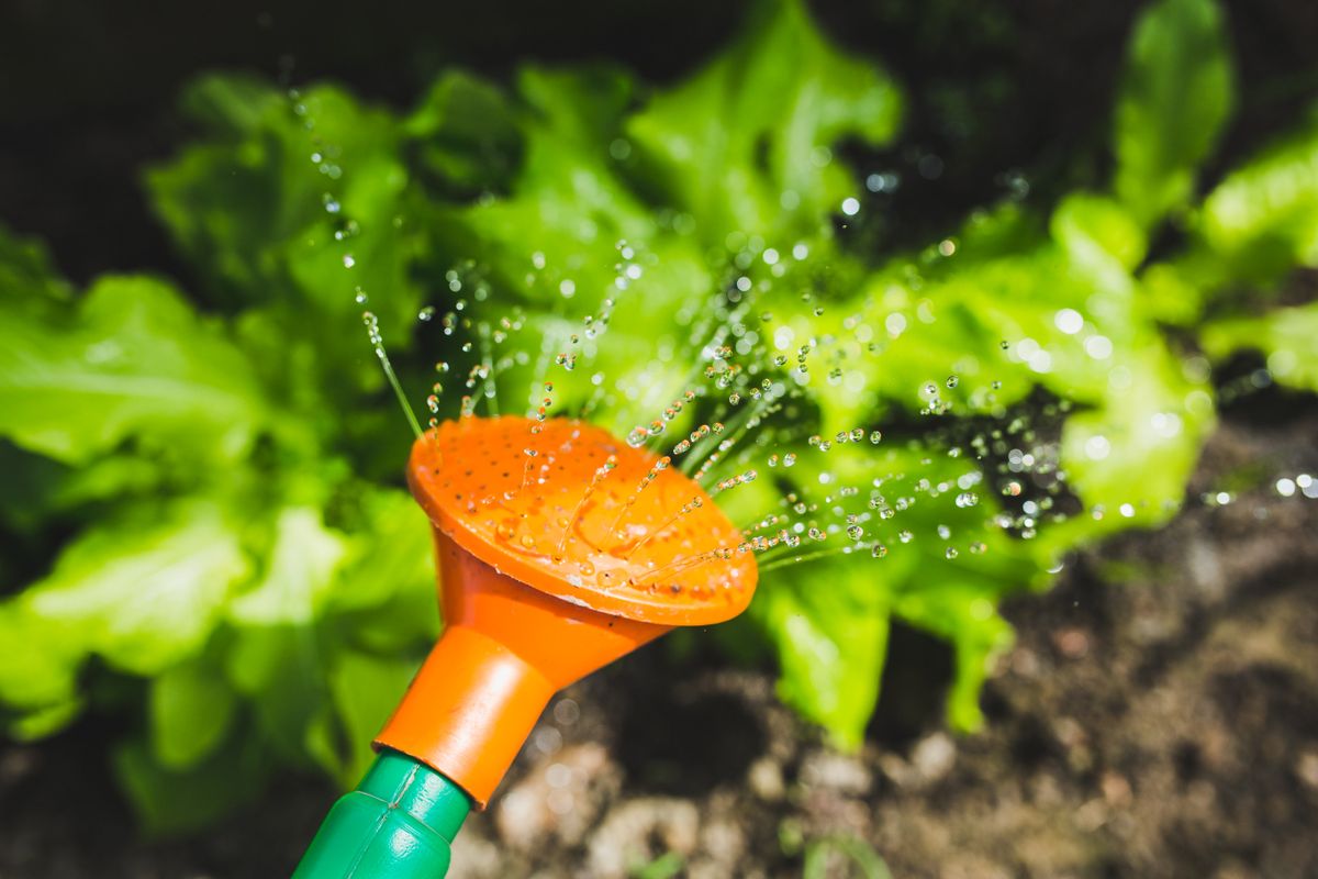 Smart Plant Watering Alert System