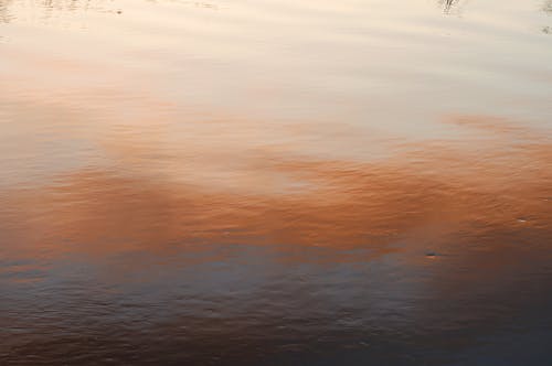 Free stock photo of color gradient, reflection, water texture