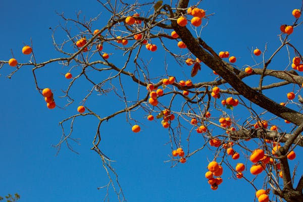 Отделка откосов и подоконников в Курске