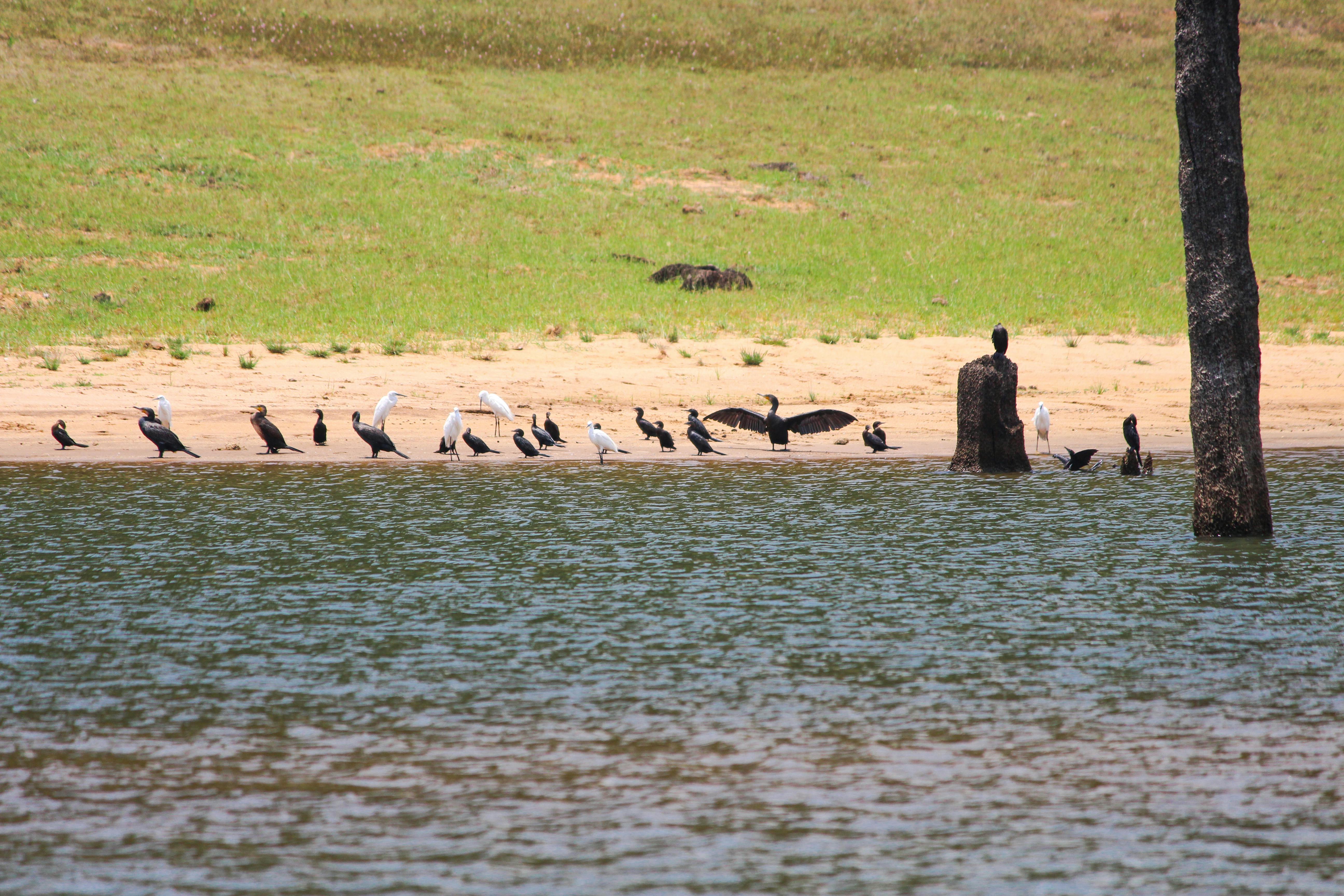 Lüks Katalog Baskısı