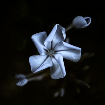 虎扑体育