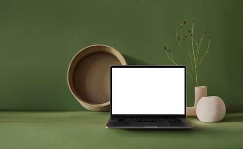 Composition of portable netbook with empty screen placed near dry plant in vase with basket