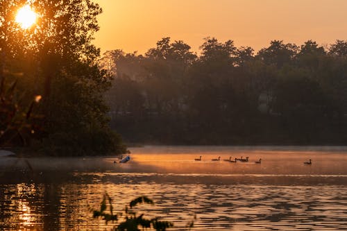 Free A Sunrise at a Lake Stock Photo