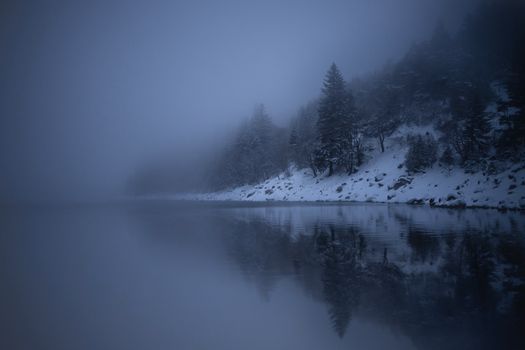 A tranquil lake view surrounded by mist and snow-covered trees in Grand Est, France.