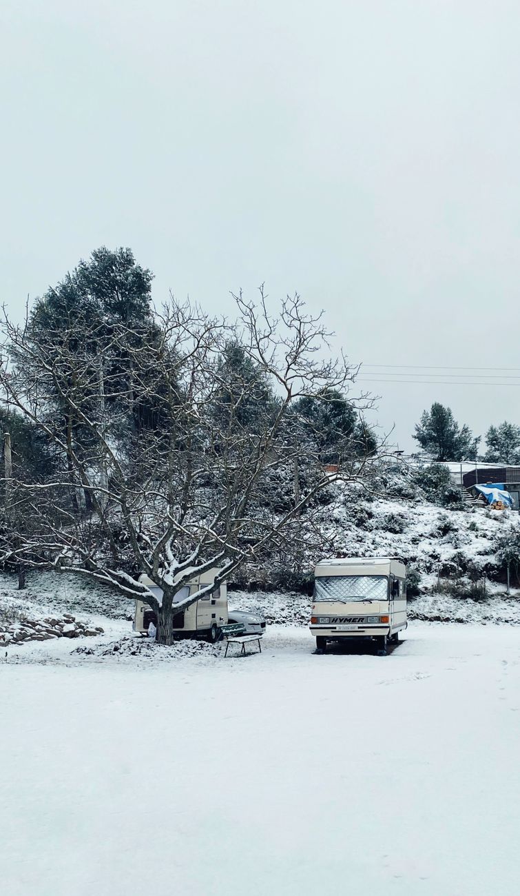Da guerra di neve a viaggio in camper: i vip ricordano storie con i fratelli