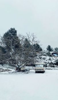 Scenic winter view featuring snow-covered trees and camper vans in a serene outdoor setting.