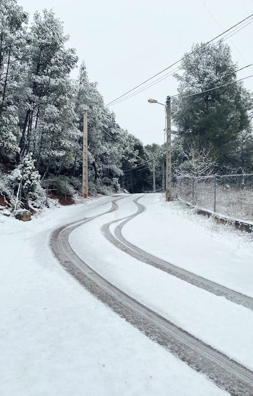 タイヤトラック, 冬の季節, 垂直ショットの無料の写真素材