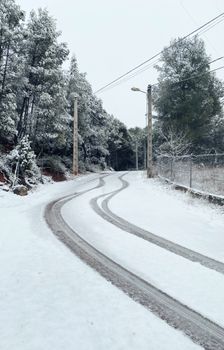 A serene winter scene of a snow-covered road with tire tracks curving alongside frosty trees.