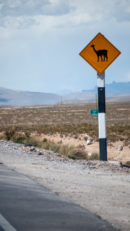 Warning Sign on Road