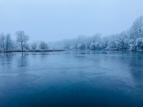 下雪的天氣, 冬季, 冷 的 免费素材图片