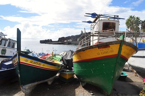 Foto d'estoc gratuïta de amarrat, arrossegador, barques