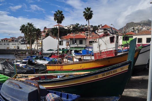 Vibrant fishing boats in a scenic coastal town with palm trees and red-roofed buildings.