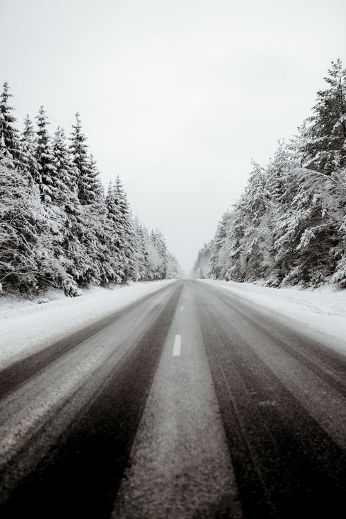 Free Straight asphalt roadway with marking lines running between coniferous trees covered with snow in gloomy winter day Stock Photo