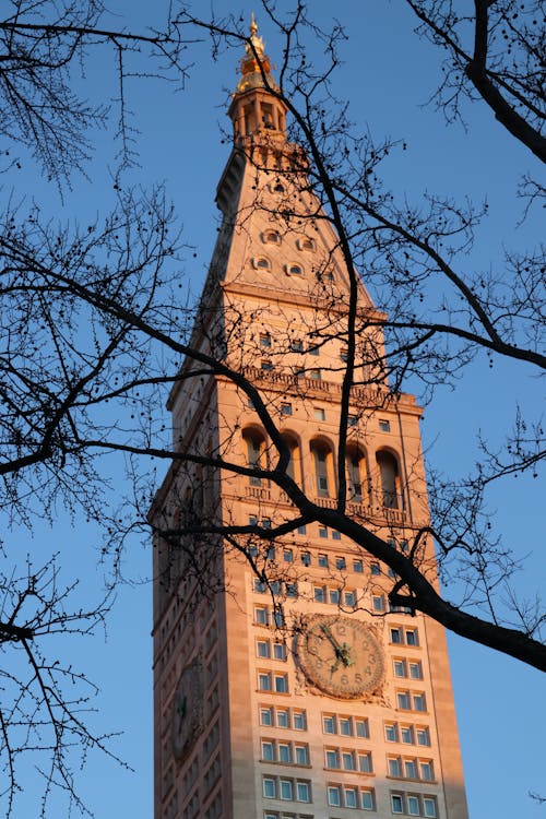 Free stock photo of arched windows, church tower, clock tower