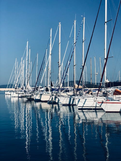 Free White Sailboats Docked on a Harbour  Stock Photo