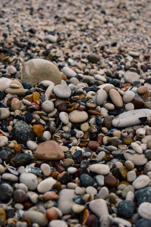 Close-Up Shot of Pebbles