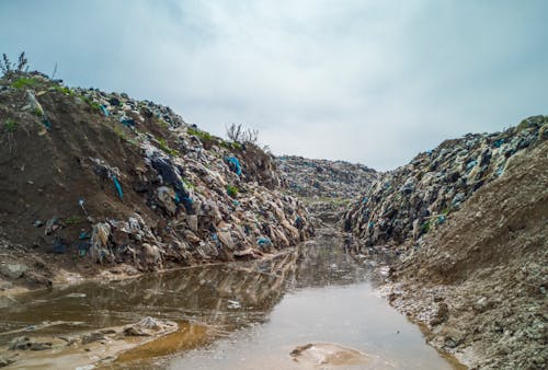 Foto d'estoc gratuïta de aigua, contaminació, corrent