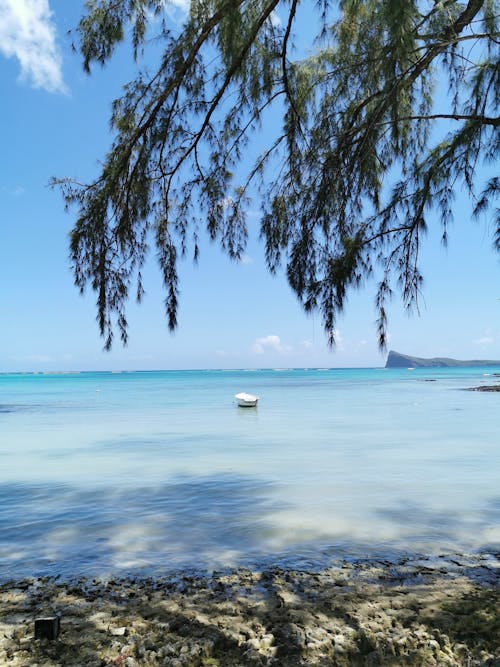 açık hava, deniz, deniz aracı içeren Ücretsiz stok fotoğraf