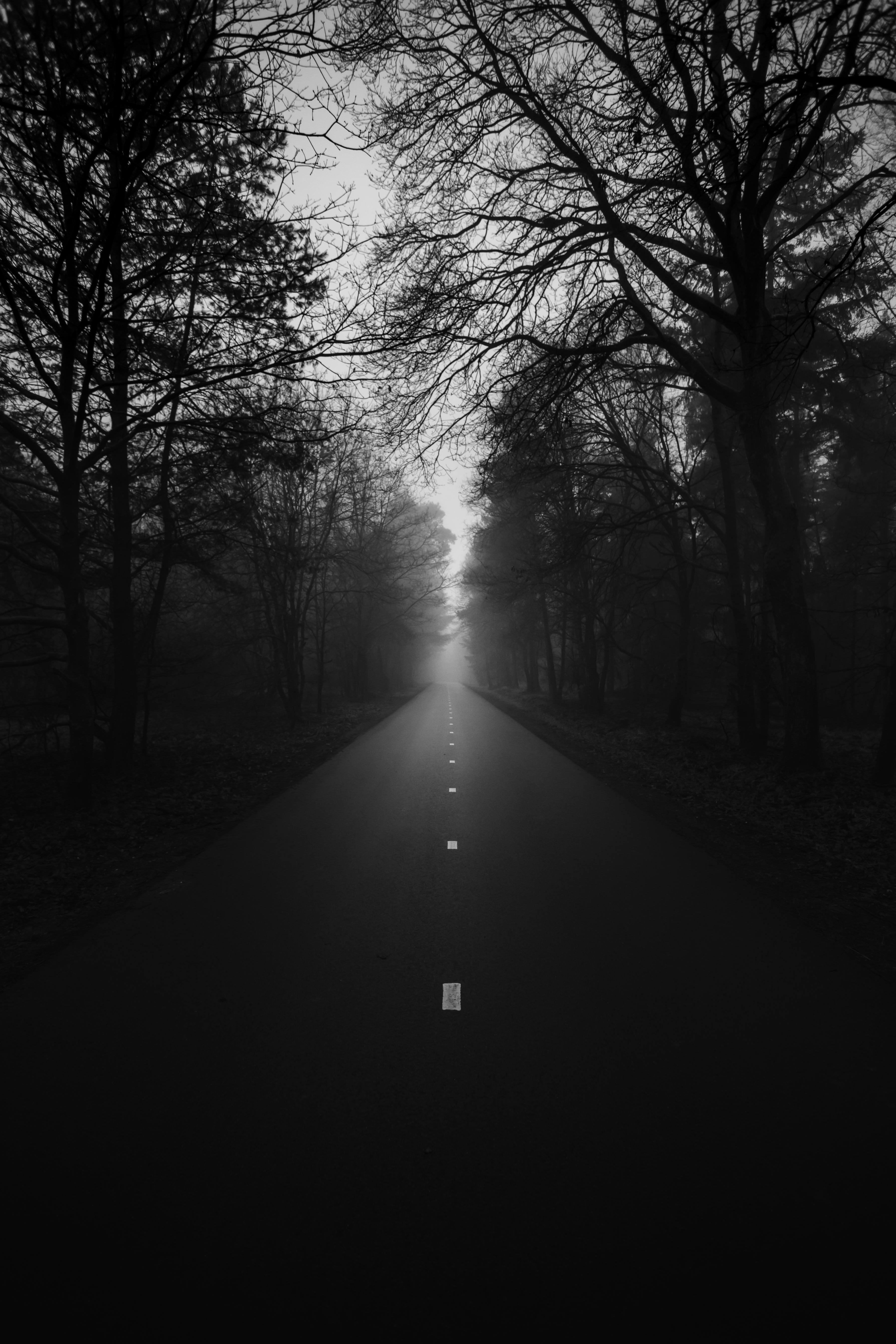 Grayscale Photo of Road · Free Stock Photo